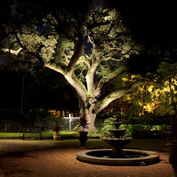 What are the types of trims for recessed lighting?