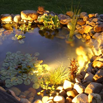 What are the types of trims for recessed lighting?